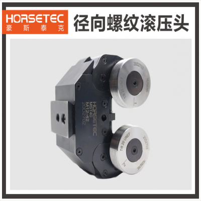 汽车燃油喷射系统  喷油器